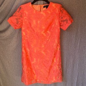 Sami + Dani size 6 embroidered dress.